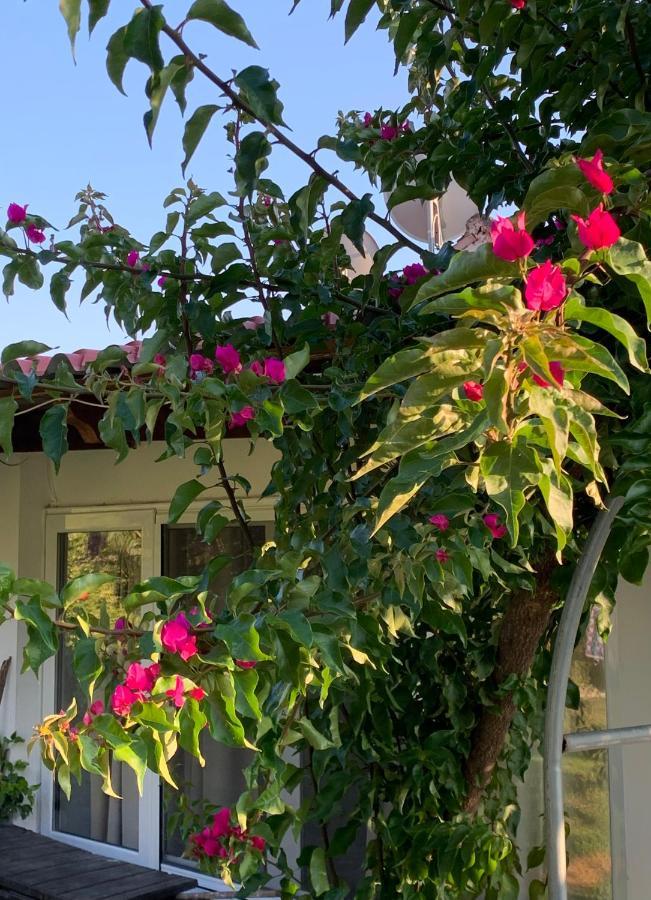 La Casa Di Mare Villa Agios Gordios  Exteriör bild